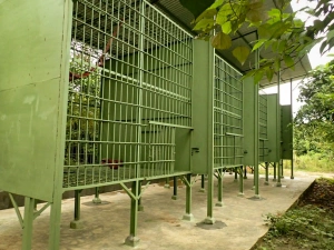 Orangutan cage 