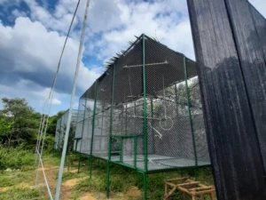 Square primate socialization cage